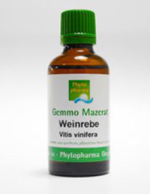 GEMMO Mazerat Weinrebe Tropfen zum Einnehmen